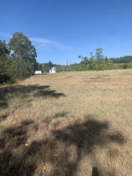 Campo 9,5 has, con plantación de nogales y colinda con río Coihuico 