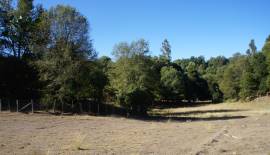 Precioso y completo Mini Campo a menos de 1/2 hora del centro de Concepcion